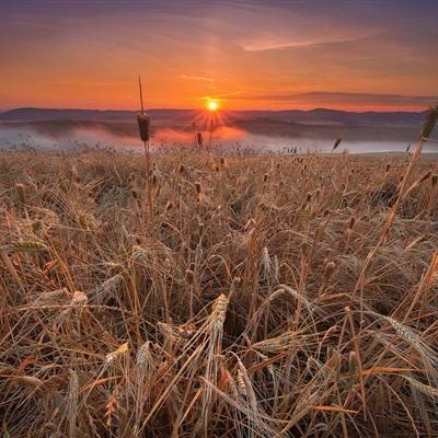 [视频]【在希望的田野上·三夏时节】全国麦收达1.2亿亩 进入收获高峰